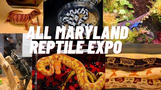 All Maryland Reptile Show ( July 13th 2024 ) | BallPythons | Bearded Dragons | Boas | Geckos |& More