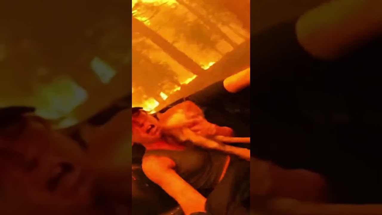 Hero saves deer from wildfire! 불타는 숲, 그녀의 영웅적 구출! 😱 ¡Rescate 🔥 en pleno incendio forestal!