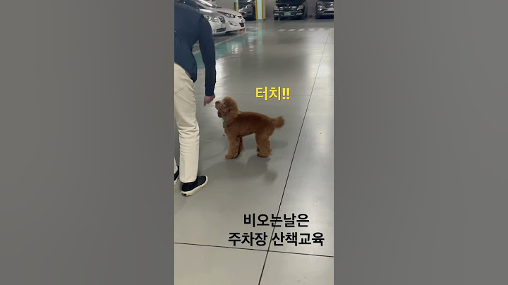 비 오는날에 산책 하기ㅣ터치교육 꼭 해보세요