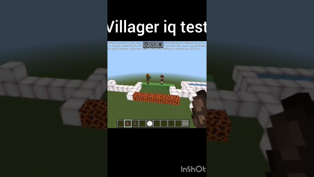 minecraft villager iq test 