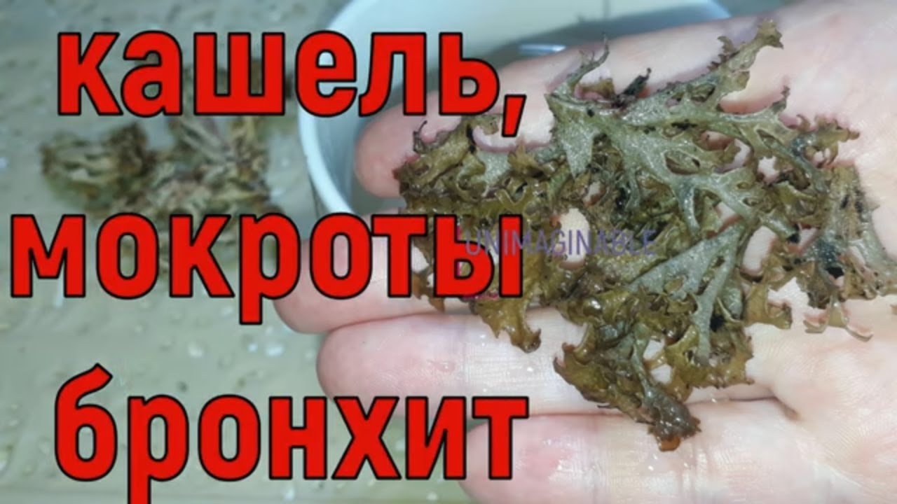 Избавилась от кашля за 2 дня! Очистить лёгкие, очистить бронхи, кашля и ...