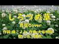 しろつめ草 こおり健太  唄:男宿カバー