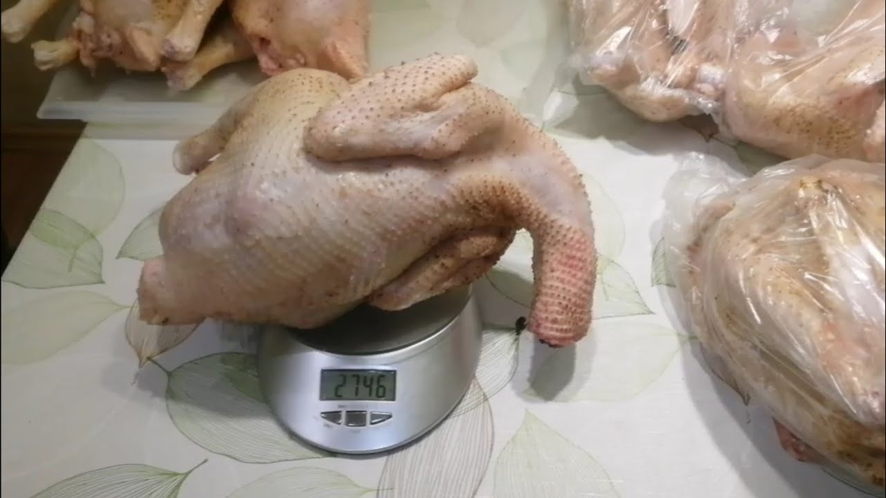 Неадекватные случаи в Подольске #1 Подольский петушок - YouTube