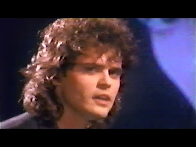 Donny Osmond - I'm In It For Love