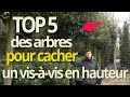 Top 5 des arbres en tige persistants pour cacher un visvis en hauteur