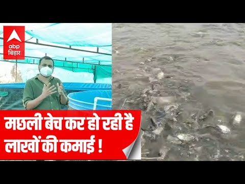 Newzealand की नौकरी छोड़ Bihar लौटे Arnav Vatsa, Fish Farming कर हो रही ...
