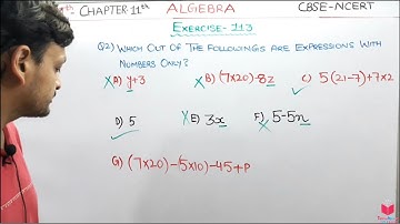 Q2) Ex 11.3 Class 6 Maths Chapter 11 Algebra| Maths Class 6 CBSE NCERT Apni ClassRoom By Deepak