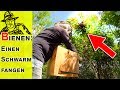 Bienenschwarm im Rigotti-Garten Mp3 Song