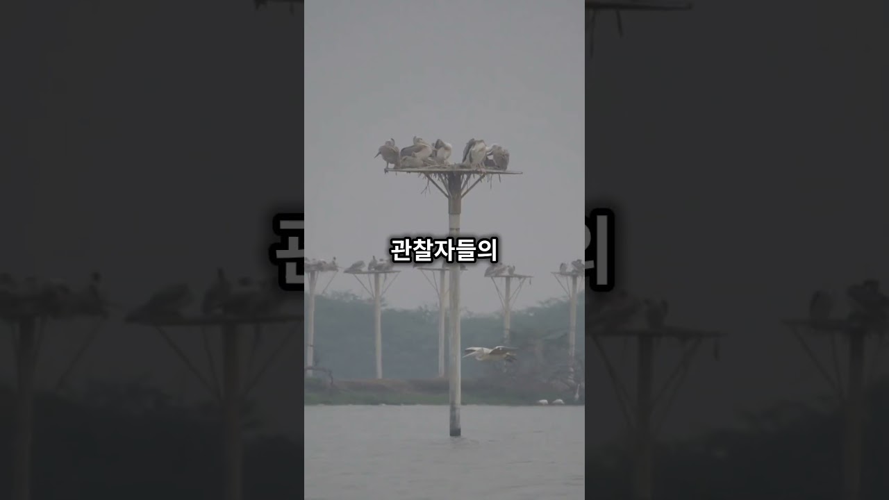 영상] 한강의 숨겨진 8개의 섬들…여의도·선유도·노들섬·밤섬·백마도·당정섬·서래섬·세빛섬