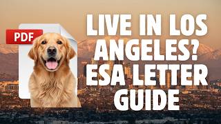 How to Get an ESA Letter in Los Angeles, California | Legitimate CA Emotional Support Animal Letter
