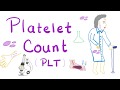 Platelet Count (PLT)