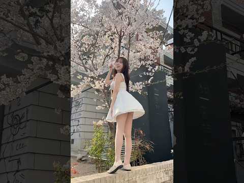 🌸내 친구들을 소개할게〰️🌸