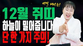 쥐띠 양력 12월 나이별 총운세 2025 을사년 연말 기준 이것만 조심하면 일과 돈 복 만사형통 유명한점집 용한무당 점잘보는집 점집추천 점집후기 대전점집 일월설화