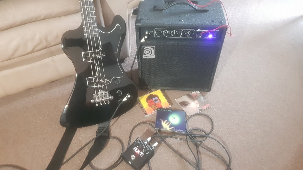 AMPEG BA108 / GIBSON RD KRIST NOVOSELIC / PEDAL PROCO RAT YouTube