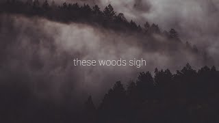 winter aid - the wisp sings (lyrics)