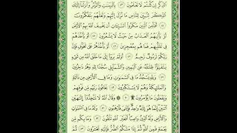 سورة النحل 6 من الأية 43 إلى 54