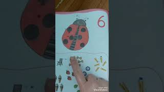 videolardan sonra derslerimiz