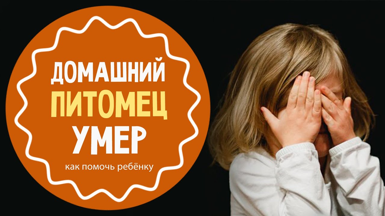 Если владелец авто умер