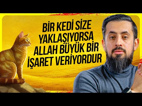 Bir Kedi Size Yaklaşıyorsa Allah Büyük Bir İşaret Veriyordur - Kelb | Mehmet Yıldız