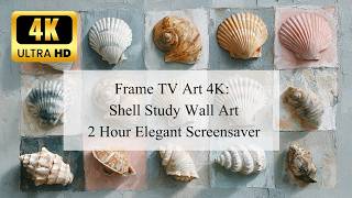 Frame TV Art 4K: Coastal Shell Collection - Soft Archival Study Aesthetic - 2 Hours No Sound screenshot 5