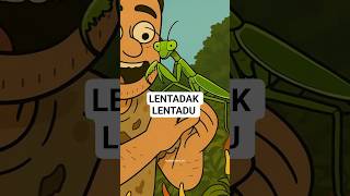 LENTADAK LENTADU #animasi #kartun #semende #jemekite #sumateraselatan #palembang #lampung #bengkulu