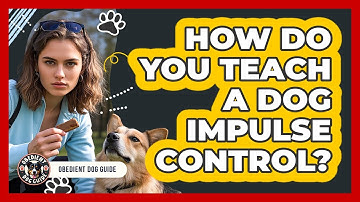 How Do You Teach A Dog Impulse Control? - Obedient Dog Guide