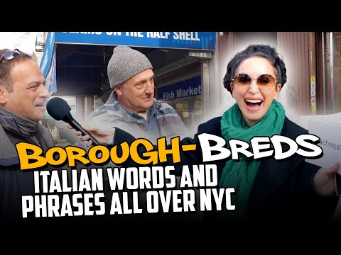 Italian Words and Phrases all over NYC Boroughbreds ep 10 Tara Cannistraci AKA Tara Jokes