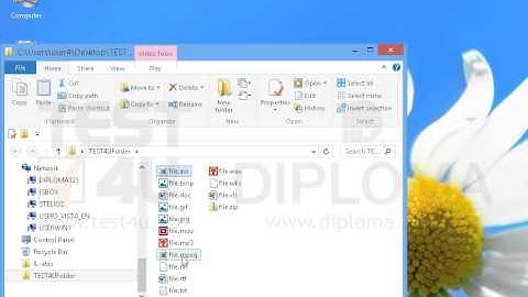 Delete all video files from the TEST4UFolder folder on your desktop.