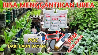 Download lagu Pupuk Organik Cair Pengganti UREA Hasil Uji PPM ny... mp3