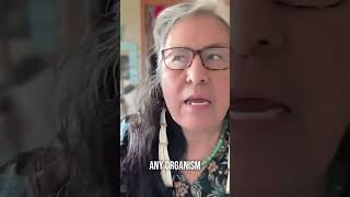 The modern world paradigm is antithetical to Earth paradigm