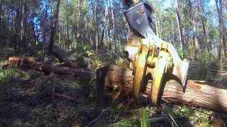 Tigercat LS855C shovel logger with feller director boom