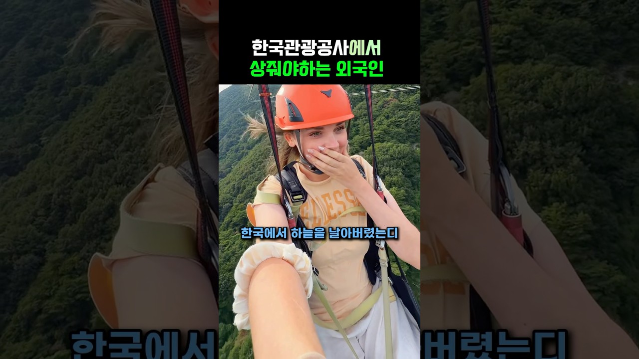 한국관광공사에서 상줘야한다는 외국인‼️