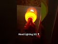 Funny Gift Idea: Viral Plunger Light for Ambient Glow