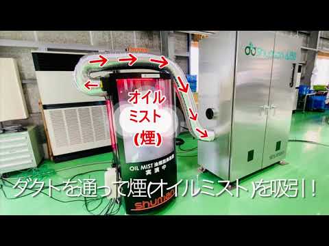 動画