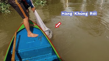 QUĂNG CHÀI Điểm Mới Dính HuGo Khủng Nhiều Cá Linh Thấy Mê. CAST THE NET New Point Catches Huge Hugo