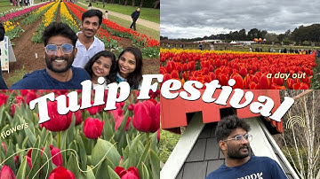 🌷 Tesselaar Tulip Festival | Melbourne | Spring Vibes & Colorful Blooms | 20 th September 2025