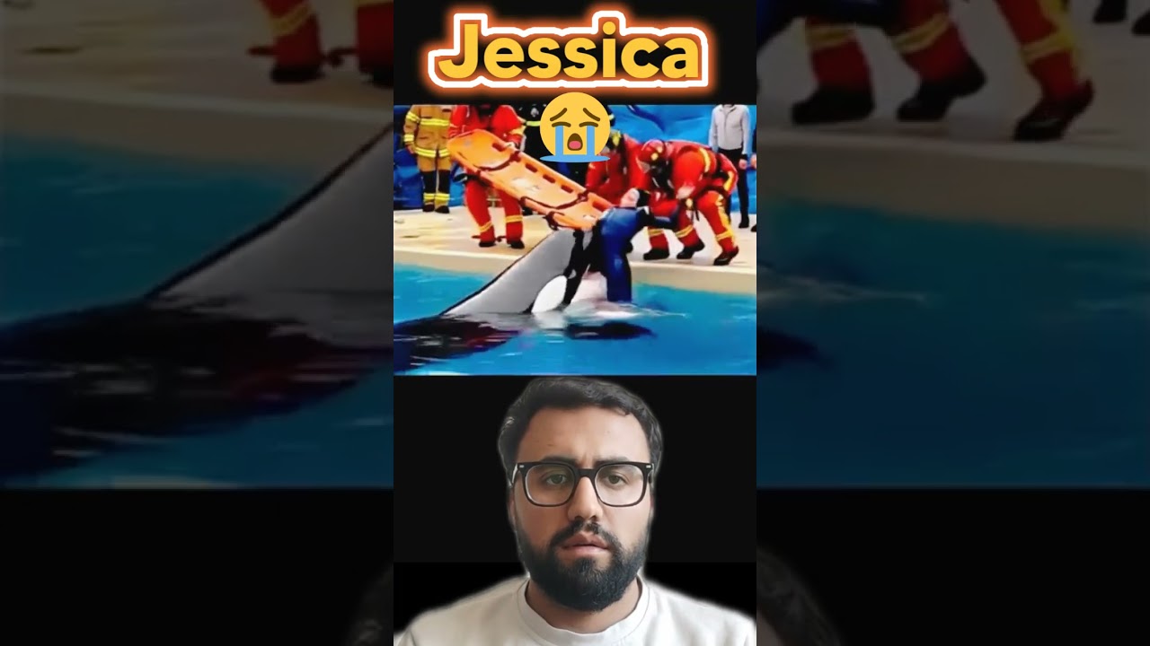 Swallows Jessica in Final Seconds! Orca Simulation (100% AI Generated) 🤯🐬