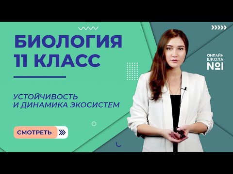 Устойчивость и динамика экосистем. Видеоурок 29. Биология 11 класс