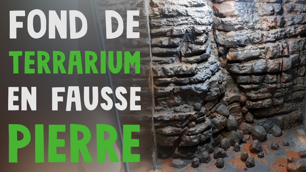 Comment fabriquer un fond de terrarium en fausse pierre