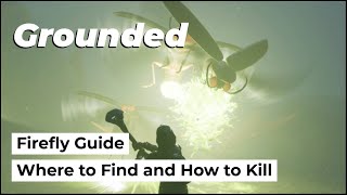 Firefly: where to find and how to kill | Grounded Insects Guide