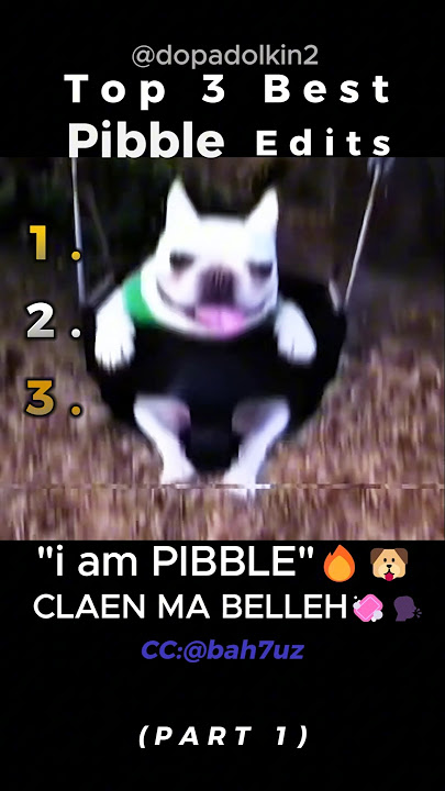 Ranking the Best Pibble Edits