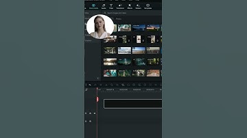 (Filmora 12): How to Remove a Background from an Object - Smart Cutout Feature