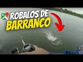 ISCAS ARTIFICIAIS de BARRANCO - MUITO ROBALO ( LOJA UNIVERSO FISHING )