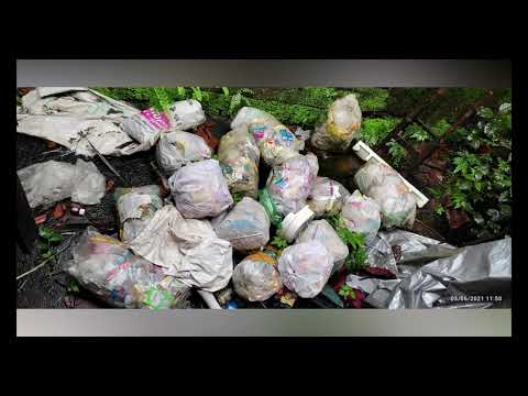 Video: Plastic Theezakjes Kunnen Microplastics In Thee Vrijgeven