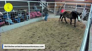 Jones Livestock Auction - Jones, Oklahoma