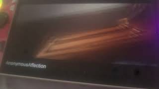 Hollywoodedge Screams 1 Woman Singl In Saints Row 2