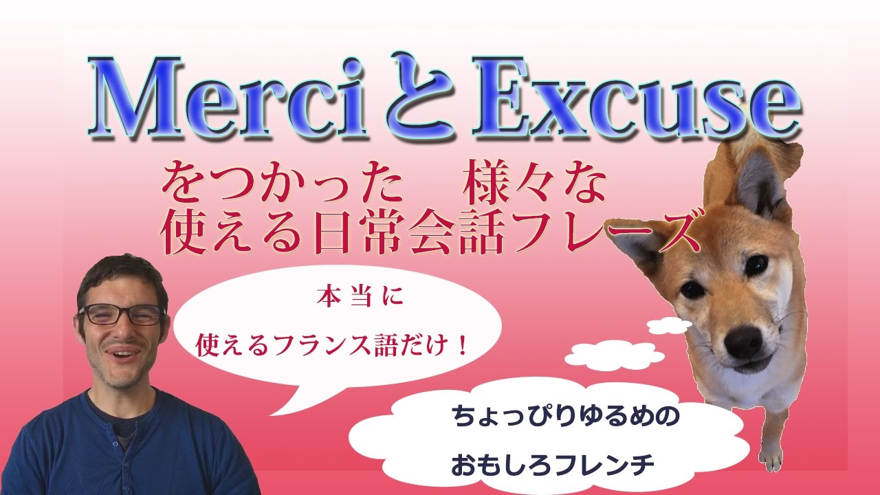 フランス語 お礼merci とお詫びexcuseの様々な言い方 ビデオ講座 ディクテ シャドーイング