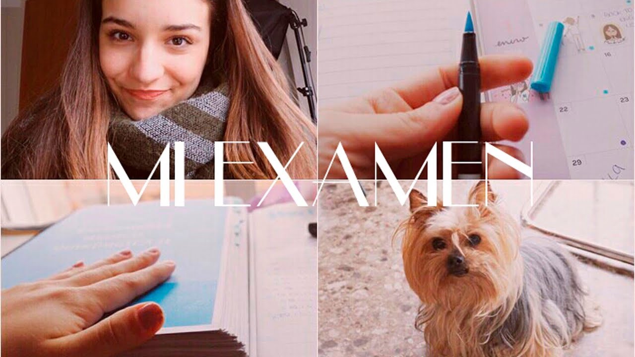 Estudiando conmigo MÉDICO-QUIRÚRGICA II (3º Enfermería) // Lau