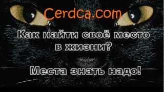 Цитаты высказывания о жизни Цитаты высказывания о жизни