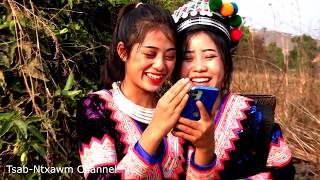 Maiv Paj Maiv Nka Mu Ua Si Noj Qaub Thaij Duab Hhhh